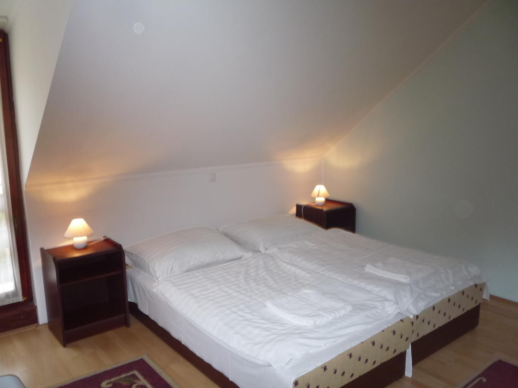 Aba Vezer Vendeghaz Hotell Abaújszántó Rum bild